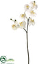 Silk Plants Direct Phalaenopsis Orchid Spray - White Yellow - Pack of 6