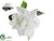 Gardenia Corsage - White - Pack of 12