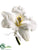 Cattleya Orchid Corsage - White - Pack of 24