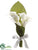 Calla Lily Flower Girl Cone Bouquet - Cream Green - Pack of 12