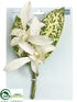 Silk Plants Direct Dendrobium Orchid Boutonniere - Cream - Pack of 12