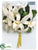 Dendrobium Orchid Corsage - Cream - Pack of 12