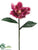 Magnolia Spray - Mauve Rose - Pack of 6