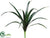 Cymbidium Orchid Leaf Plant - Green - Pack of 12