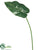 Large Anthurium Leaf Spray - - Pack of 24