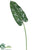 Large Calla Lily Leaf Spray - - Pack of 24