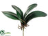 Silk Plants Direct Phalaenopsis Orchid Leaf Spray - Green - Pack of 12