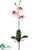 Mini Phalaenopsis Orchid Spray - Pink - Pack of 6