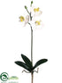 Silk Plants Direct Mini Phalaenopsis Orchid Spray - White Yellow - Pack of 6
