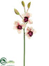 Silk Plants Direct Large Cymbidium Orchid Spray - Cream Burgundy - Pack of 12