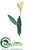 Night Blooming Cereus Spray - White - Pack of 12