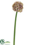 Silk Plants Direct Allium Spray - Fuchsia Green - Pack of 12