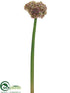 Silk Plants Direct Allium Spray - Fuchsia Green - Pack of 12