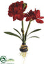 Silk Plants Direct Amaryllis Plant - Red - Pack of 4