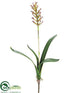 Silk Plants Direct Finger Bromeliad Plant - Burgundy Green - Pack of 12