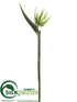Silk Plants Direct Bird of Paradise Spray - Green - Pack of 6
