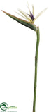 Silk Plants Direct Bird of Paradise Spray - White Green - Pack of 6