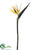 Bird of Paradise Spray - Yellow Purple - Pack of 6