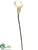 Large Calla Lily Spray - Cream White - Pack of 12