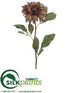 Silk Plants Direct Dahlia Spray - Coffee - Pack of 6