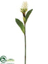 Silk Plants Direct Ginger Flower Spray - White - Pack of 6