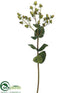 Silk Plants Direct Hypericum Spray - Green - Pack of 12