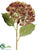 Hydrangea Spray - Wine Two Tone - Pack of 12