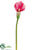 Calla Lily Spray - Pink White - Pack of 12