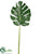 Monstera Leaf Spray - Green - Pack of 6