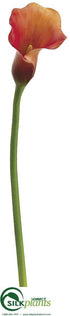 Silk Plants Direct Calla Lily Spray - Flame Orange - Pack of 12