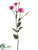 Lisianthus Spray - Rose - Pack of 12