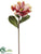 Magnolia Spray - Green Fuchsia - Pack of 6