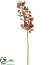 Silk Plants Direct Mini Cymbidium Orchid Spray - Green Brown - Pack of 12