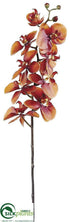 Silk Plants Direct Phalaenopsis Orchid Spray - Brick - Pack of 6