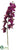 Phalaenopsis Orchid Spray - Violet - Pack of 6