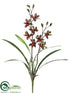 Silk Plants Direct Mini Cymbidium Orchid Plant - Green Burgundy - Pack of 6