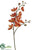 Phalaenopsis Orchid Spray - Orange - Pack of 6