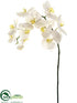 Silk Plants Direct Phalaenopsis Orchid Spray - Cream Yellow - Pack of 4