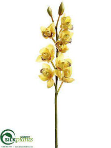 Cymbidium Orchid Spray - Honey Burgundy - Pack of 6