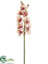 Silk Plants Direct Cymbidium Orchid Spray - Rose Pink - Pack of 6