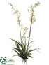 Silk Plants Direct Spider Oncidium Orchid Plant - Cream Green - Pack of 3