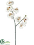 Silk Plants Direct Phalaenopsis Orchid Spray - White - Pack of 6