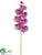 Phalaenopsis Orchid Spray - Orchid - Pack of 12