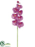 Silk Plants Direct Phalaenopsis Orchid Spray - Orchid - Pack of 12