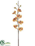 Silk Plants Direct Phalaenopsis Orchid Spray - Apricot - Pack of 6