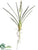 Cymbidium Orchid Bud Spray - Green - Pack of 12