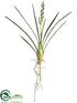 Silk Plants Direct Cymbidium Orchid Bud Spray - Green - Pack of 12