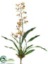Silk Plants Direct Spider Oncidium Orchid Plant - Yellow Brown - Pack of 6