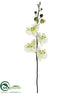 Silk Plants Direct Phalaenopsis Orchid Stem - Cream Green - Pack of 12