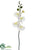 Phalaenopsis Orchid Stem - Cream White - Pack of 12